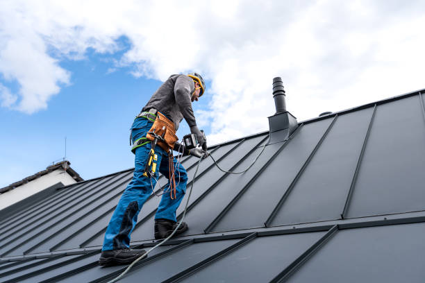 Best Roof Maintenance and Cleaning  in Thorp, WI